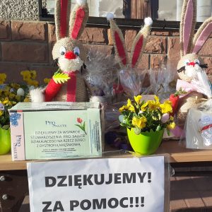 Kiermasz wielkanocny dla chorych dzieci na dystrofię mięśniową zdjęcie przedstawiające zdjęcie darów z kiermaszu wielkanocnego