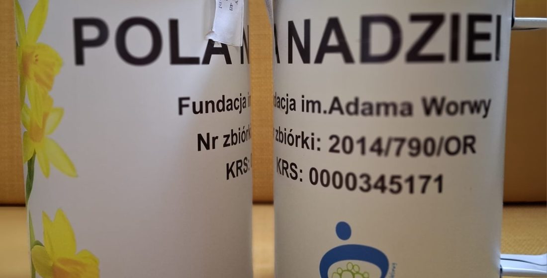 Zdjęcie puszek z zebranymi pieniędzmi
